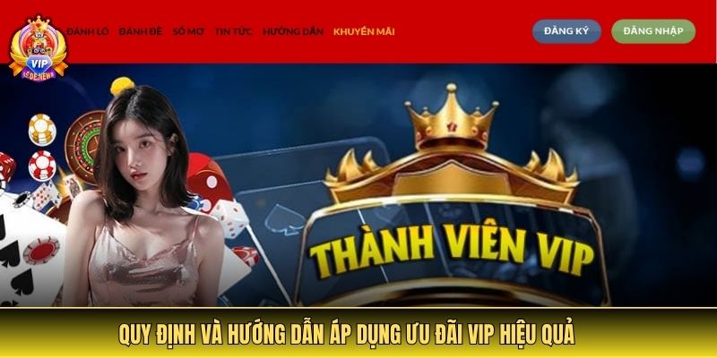 Quy định và hướng dẫn áp dụng ưu đãi VIP hiệu quả