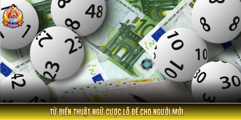 Từ điển thuật ngữ cược lô đề cho người mới